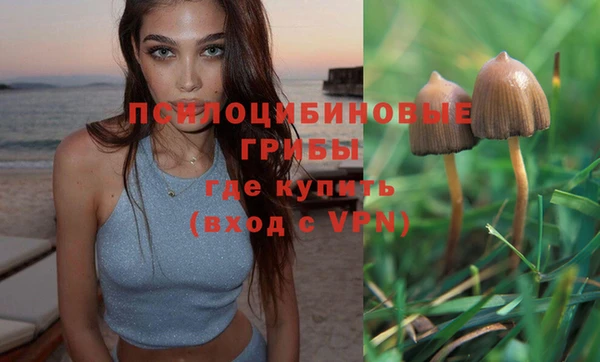 MDMA Богданович