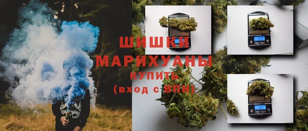 прущая мука Богородицк